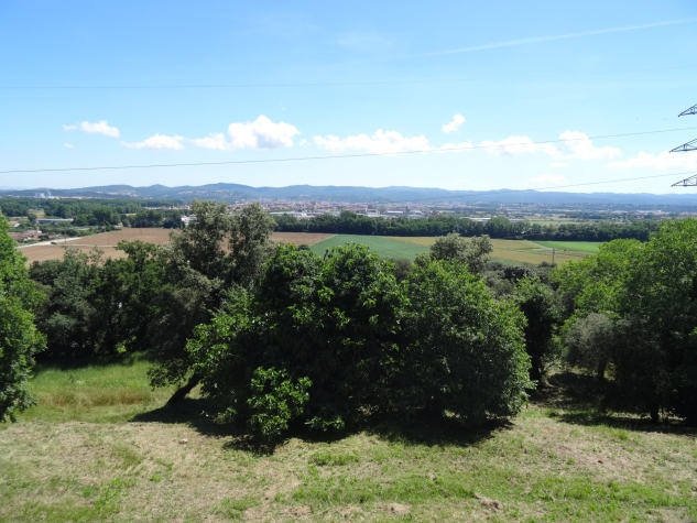 Agenthia