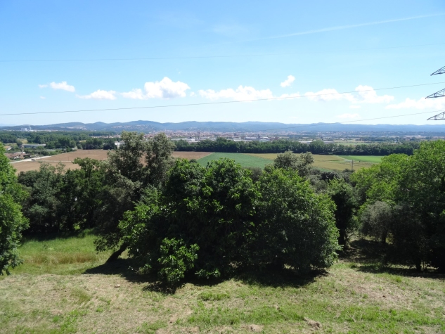 Agenthia