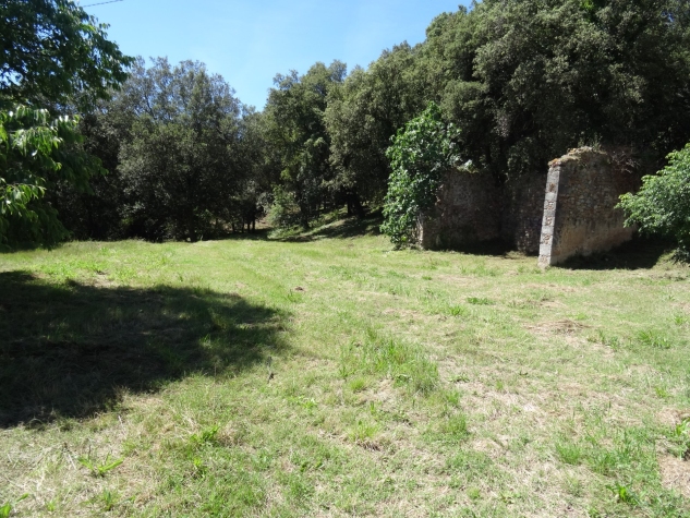 Agenthia