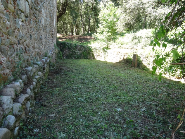 Agenthia