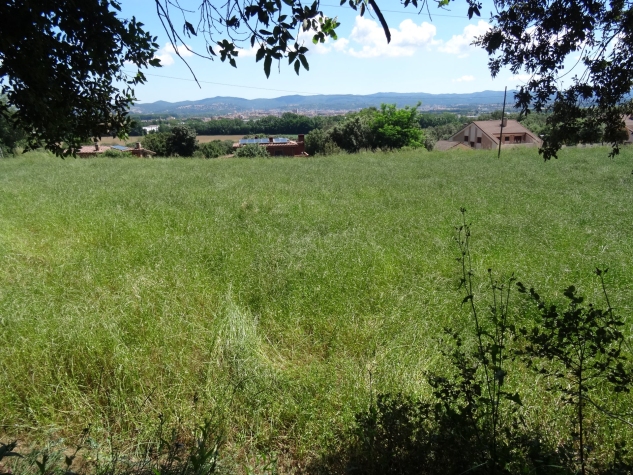 Agenthia