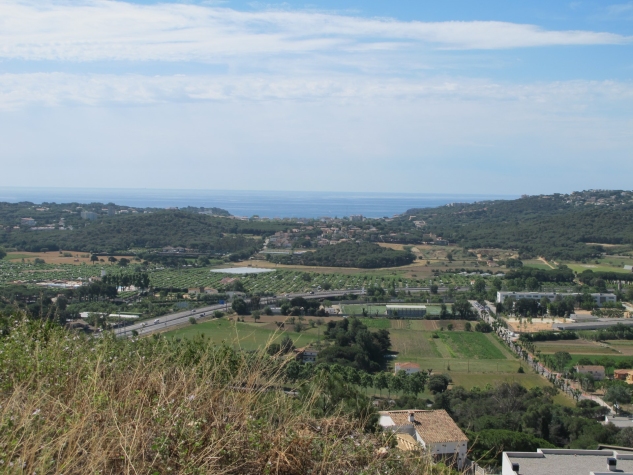Agenthia