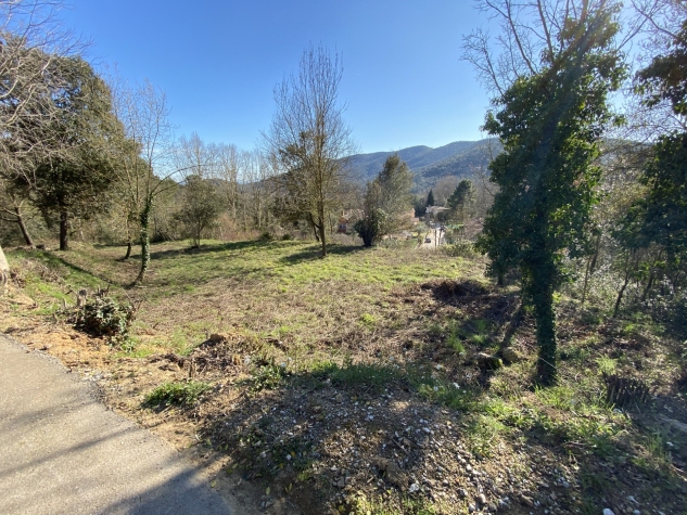 Agenthia
