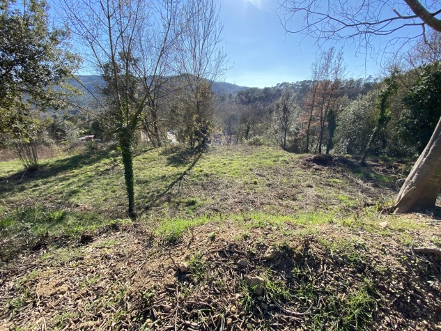 Agenthia