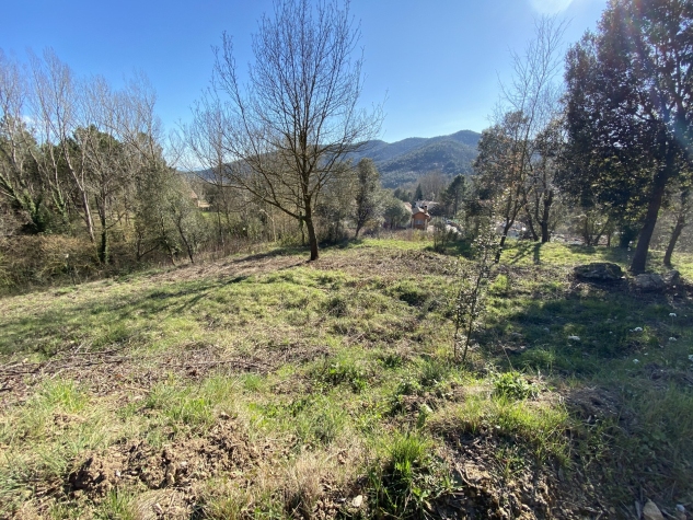 Agenthia
