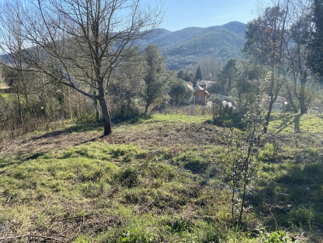 Agenthia