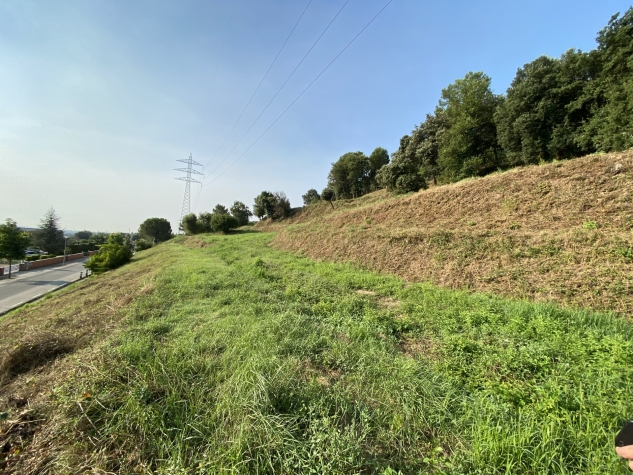 Agenthia