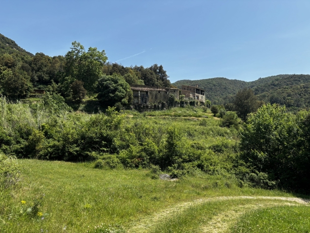 Agenthia