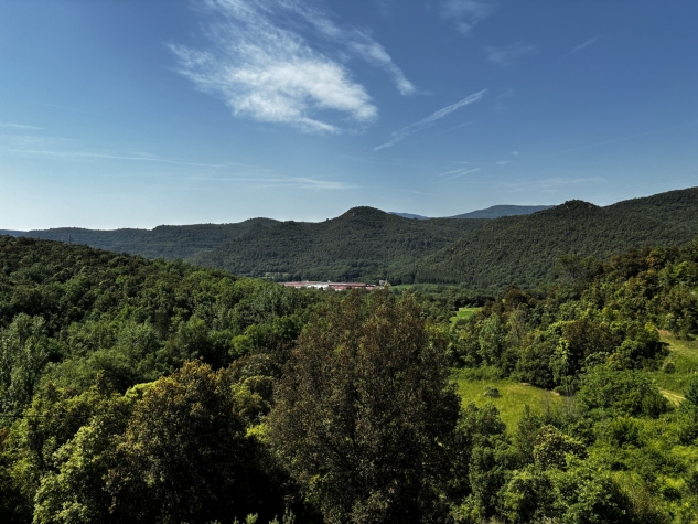 Agenthia