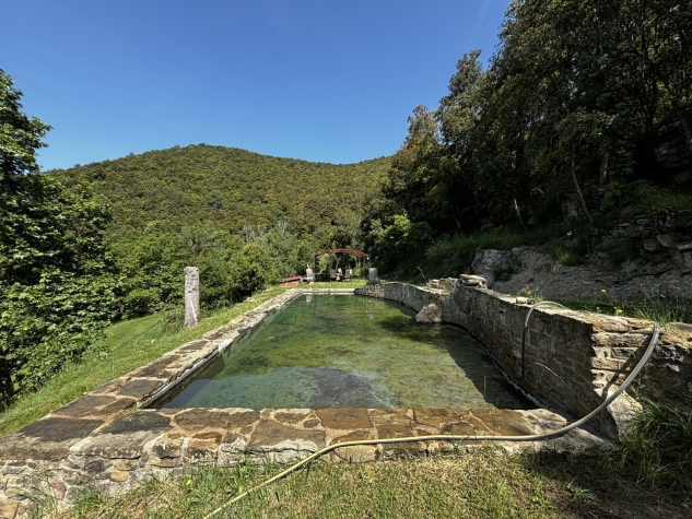 Agenthia