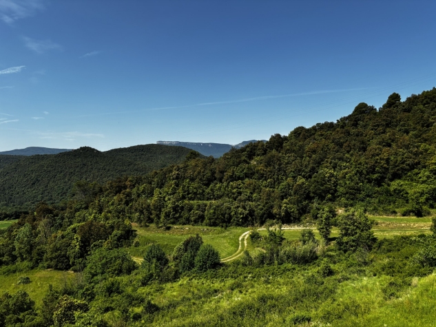 Agenthia