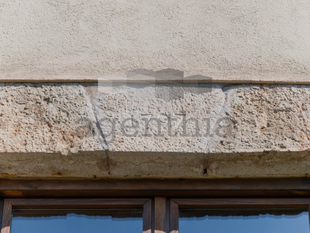 Agenthia