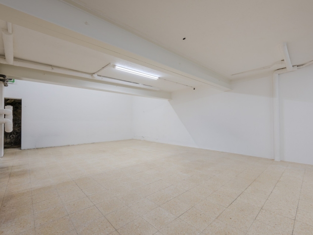 Agenthia