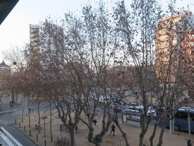 Agenthia